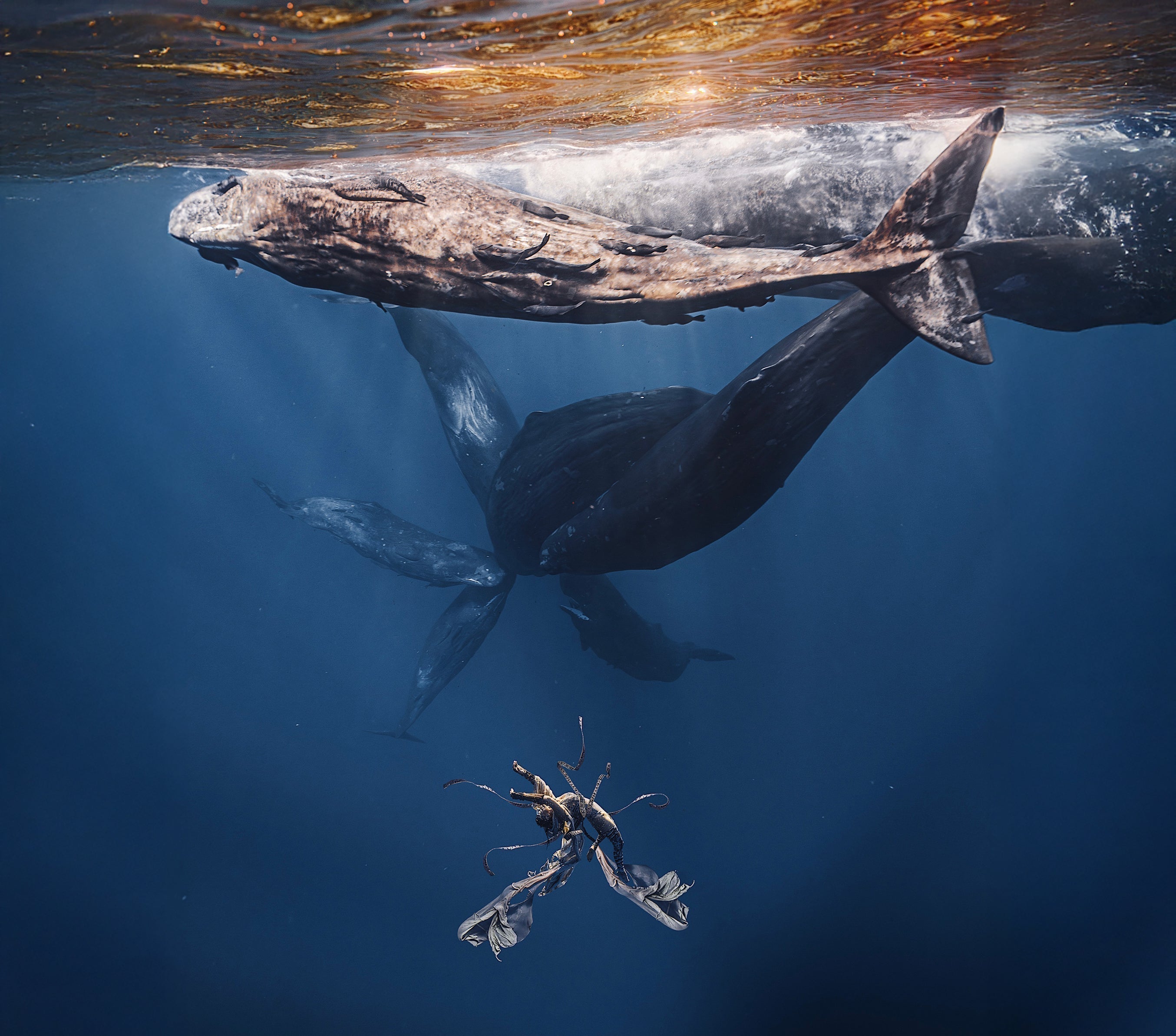 Kristina Makeeva and Alexandra Gordeeva go for a swim with the whales.
