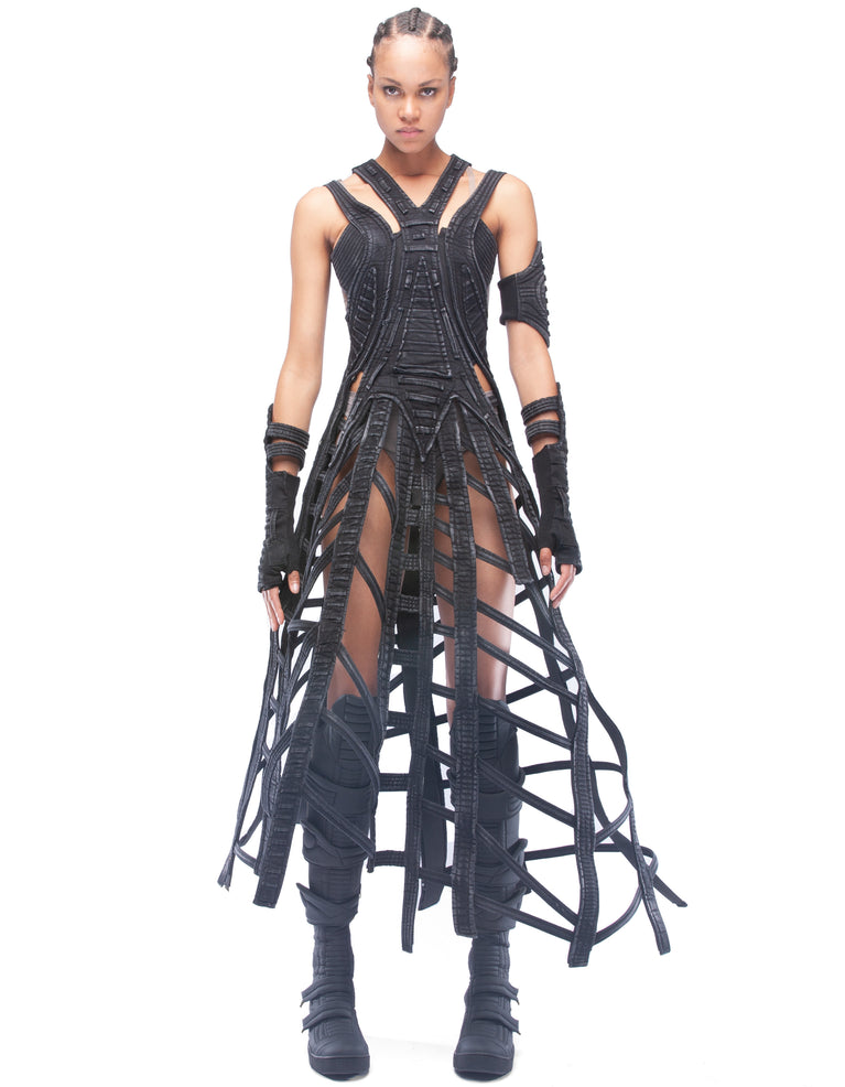 DRESS GRID STARSEED