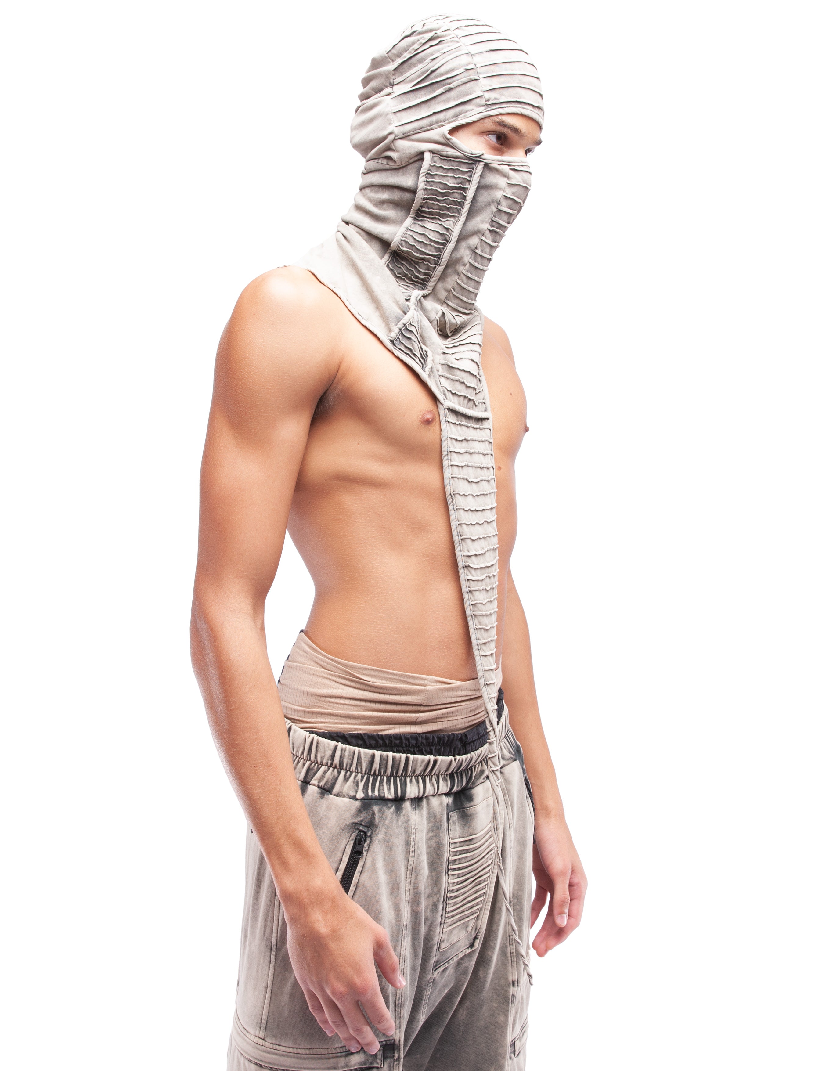 NINJA HOOD TIMELINE