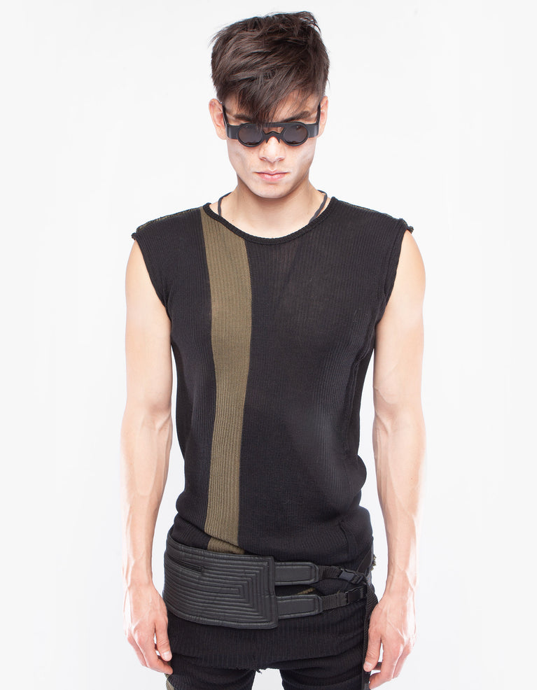 BELT PAD BEETLE
